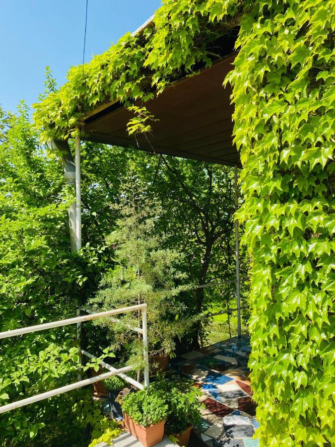 Готель Green House Лаґодехі Екстер'єр фото