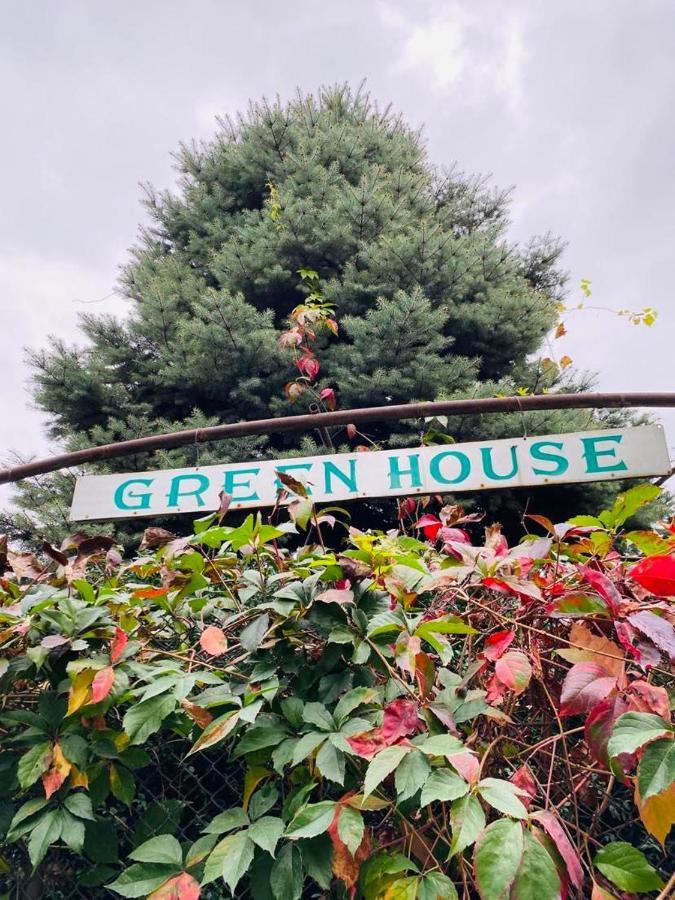 Готель Green House Лаґодехі Екстер'єр фото