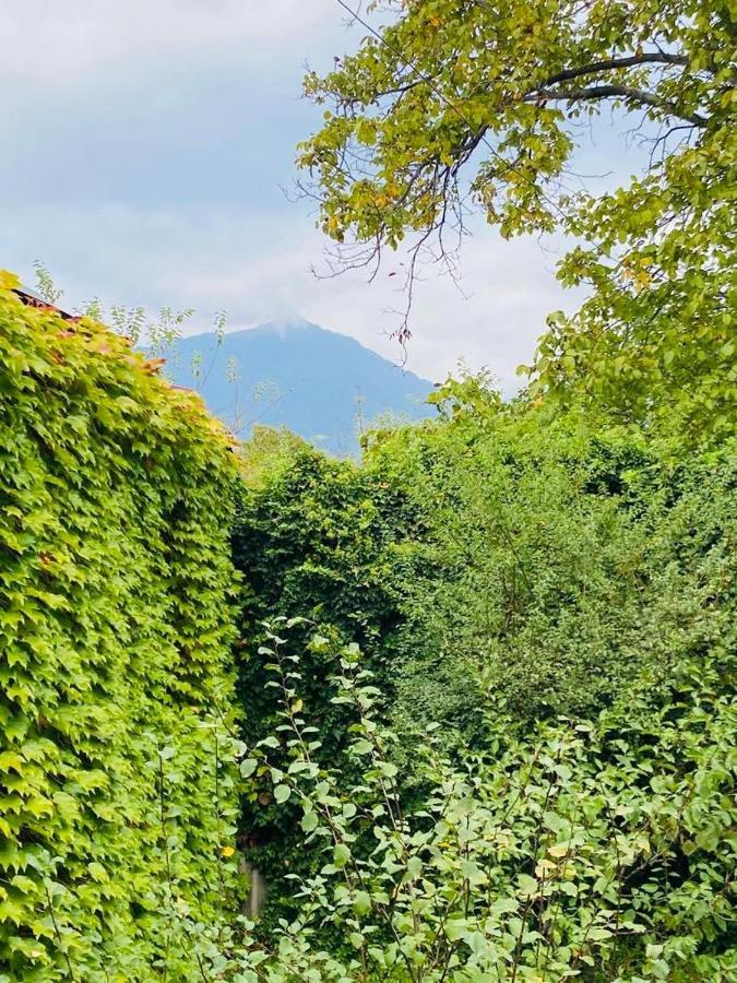 Готель Green House Лаґодехі Екстер'єр фото